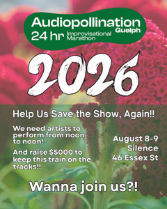 Audiopollination 2026 poster
